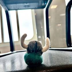 Merle, the VIking hits the treadmill - he needs to get his steps in.