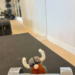 "No pain, no gain!" Says Merle, the Viking as he hits the weights.