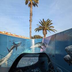 Der Aufstieg zur Stadtmauer