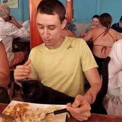 Überall (Haus-)tiere.