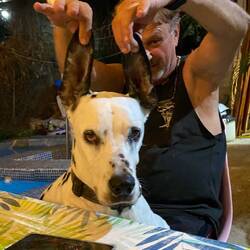 Our best photo of Roberto 😂