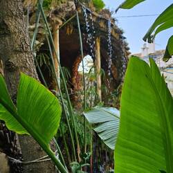 Une grotte reconstituée !