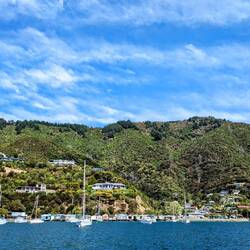 Cute boat sheds and cool landscape of Waikawa