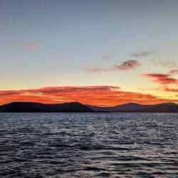Fiery sunrise over Motuara Island