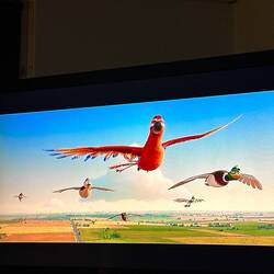 Movie night (migration)