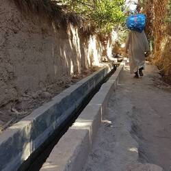 Kanäle im Palmengarten