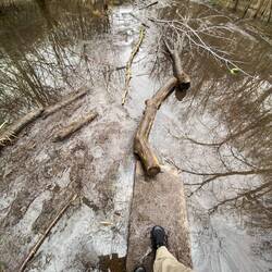 Die Wege durch die Parks sind schon abenteuerlicher als in Deutschland. Unter dem Wasser, Eis!