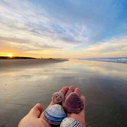 Es gibt wieder Strandgut 🐚🤗🤗🤗