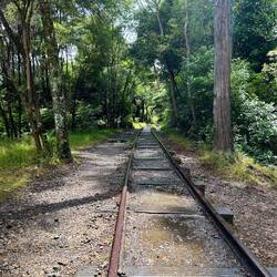 Alte Eisenbahngleise