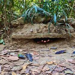 Gruess usem Ungergrund