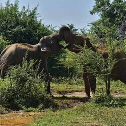 Das sind zwei beste Freunde