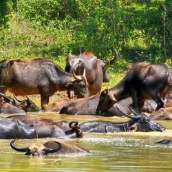 Die lassen es sich gut gehen