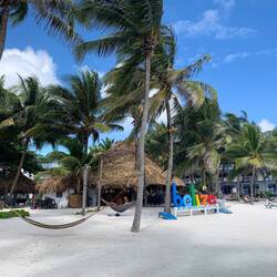 Tropical paradise