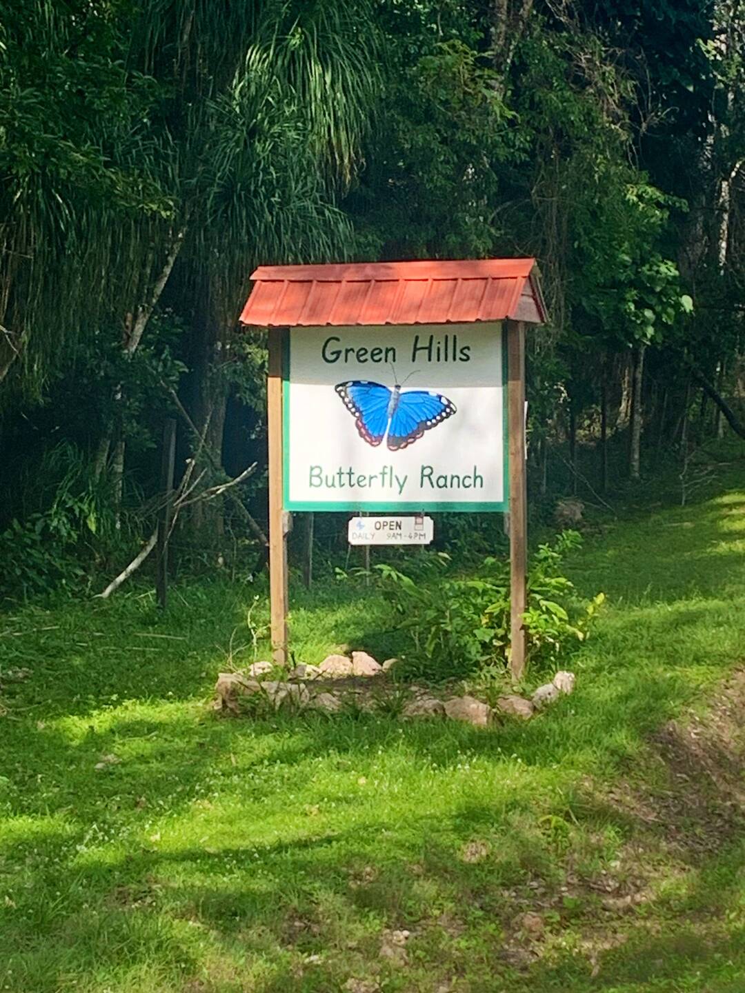 Green Hills butterfly ranch (with loads of beautiful humming birds too!)