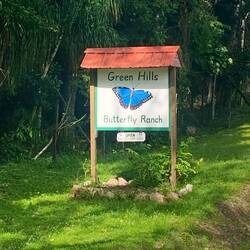 Green Hills butterfly ranch (with loads of beautiful humming birds too!)