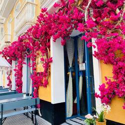 Diese Farben 💗💗