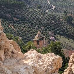 Der "Obstgarten" ist eine Mandarinenmomokultur