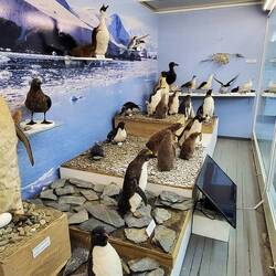 Teil des Antarktischen Museums