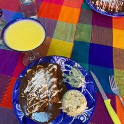 Chicken mole with peppers and coriander rice