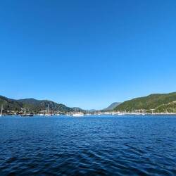 Calm morning in Waikawa Bay