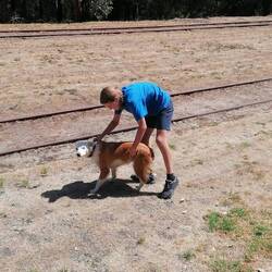 der Wuff des Chefs durfte nicht mit 😁