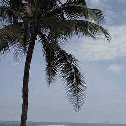 Und mal wieder Strand