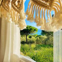 Unser Vorgarten kann sich sehen lassen 😜