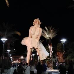 Die Ikone von Palm Springs