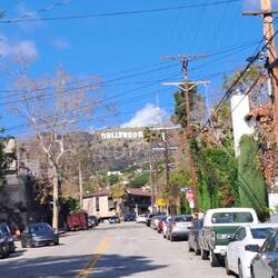 Bis hoch gelaufen sind wir dann nicht, aber zumindest gesehen haben wir das Hollywood Sign