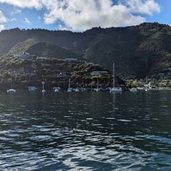 Beautiful calm morning in Waikawa Bay