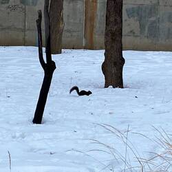 Meine kleinen Freunde 🥰