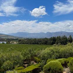 The view from Glen Carlou