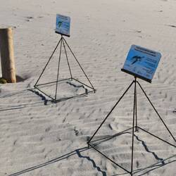 Signalétique mettant en évidence le lieu où la tortue a pondu durant la nuit