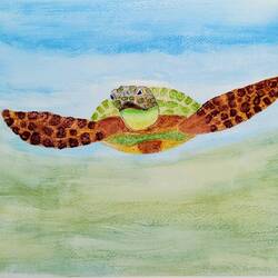 Sea Turtle by Julie
