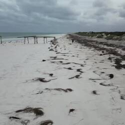 (Vidoe) of the old jetty