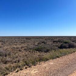 Nullabor means "treeless plain".....and it was!