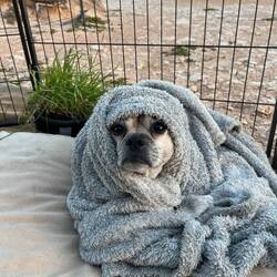 And it got a bit cold at night, or at least Bo thought so!