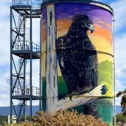 One of the painted silos I've heard one can find all around Australia ... this one was in Avaco.