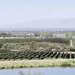 View from Masi winery