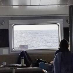 Man beachte, wie sich das Schiff hebt und senkt