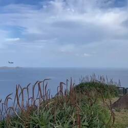 Flieger im Landeanflug