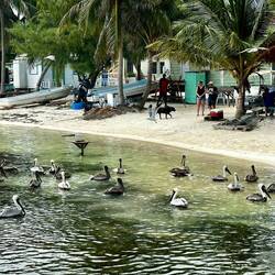 You can access the beaches all around the island