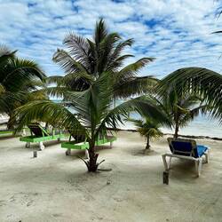 Lovely sand and palms