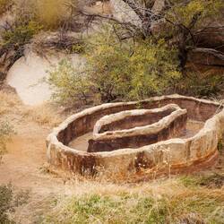 🤭 ...fountain of life?