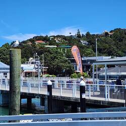 Paihia