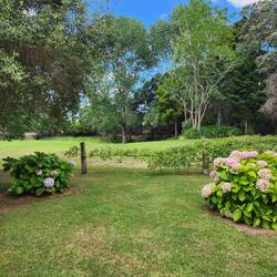 Gardens near the library