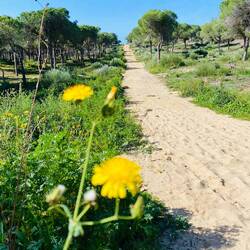 Grün soweit das Auge reicht. Einfach herrlich 💚