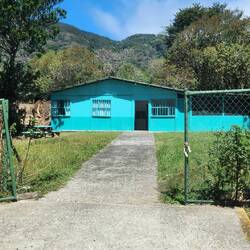 Local home. Very colorful