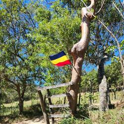 Local government flags seen everywhere