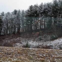 Off Rt 81